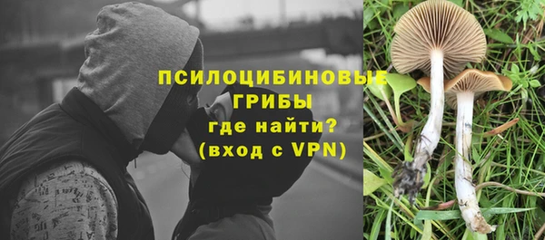 скорость Володарск