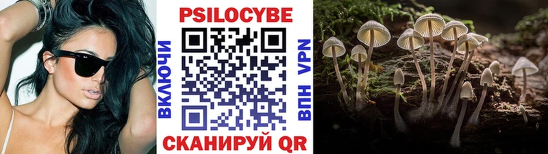Галлюциногенные грибы Psilocybine cubensis  Славянск-на-Кубани 